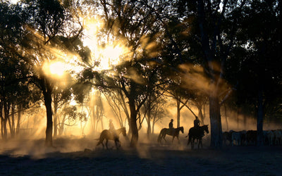 Temp3late Ranch Hand Needed at Alabama Ranch