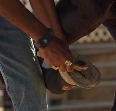 Template Ranch Hand Seeking Position Of: Groundskeepers in Arizona ~ Need Housing provided