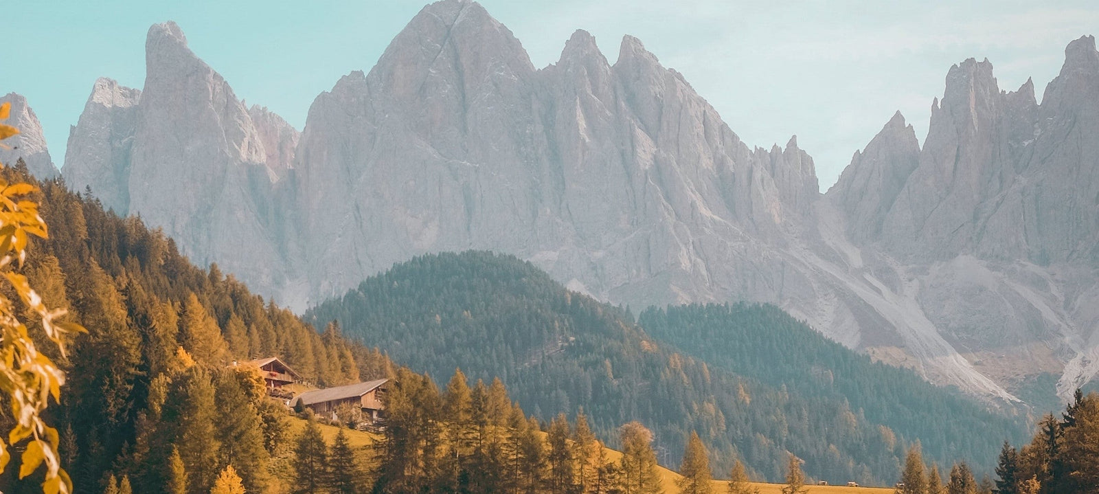 Ranch Hand™ Opportunities and Categories