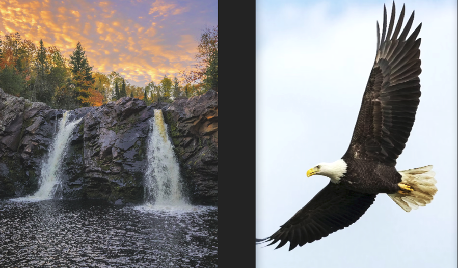 Wisconsin Adventure Destinations oh what JOY it is to Soar on Eagles Wings !