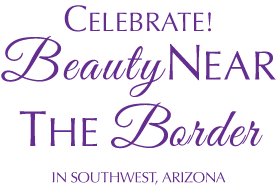 Enjoy the 2025 Tubac Art Festival in Southwest Arizona