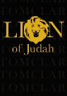WatchOut TM (Store Purch) - LION Of Judah 7-8 Players Double Sided Cards 28 Items in Bulk