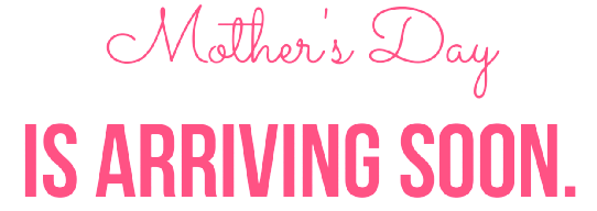 Start Planning Your New Mexico Day Trip or Horse back Riding Trip